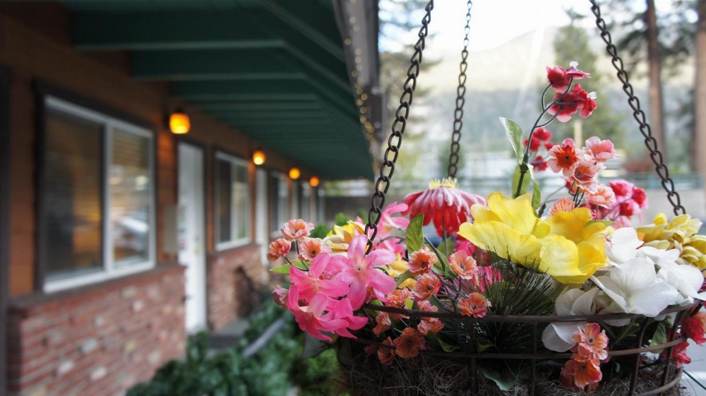 Paradice Motel Main image